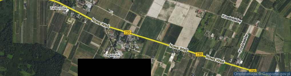 Zdjęcie satelitarne Nowa Wieś ul.